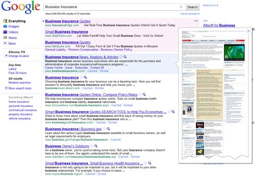 Biz-Ins-Bad-Google-Preview