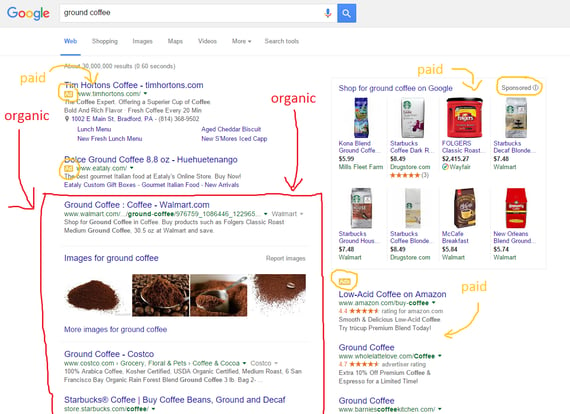 screenshot of organic search results & paid search results
