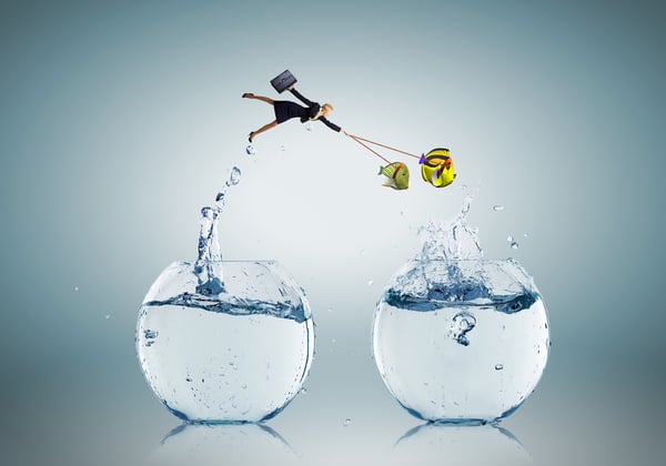 Young businesswoman and big exotic fish. Success in business