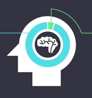 Brain Diagram Icon